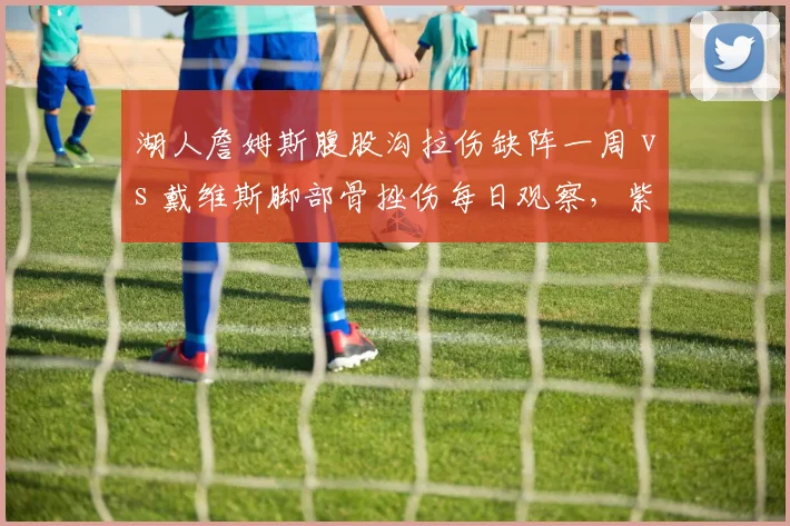 湖人詹姆斯腹股沟拉伤缺阵一周 vs 戴维斯脚部骨挫伤每日观察，紫金军团内线外线谁更伤不起？